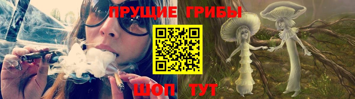Псилоцибиновые грибы Psilocybe Саяногорск