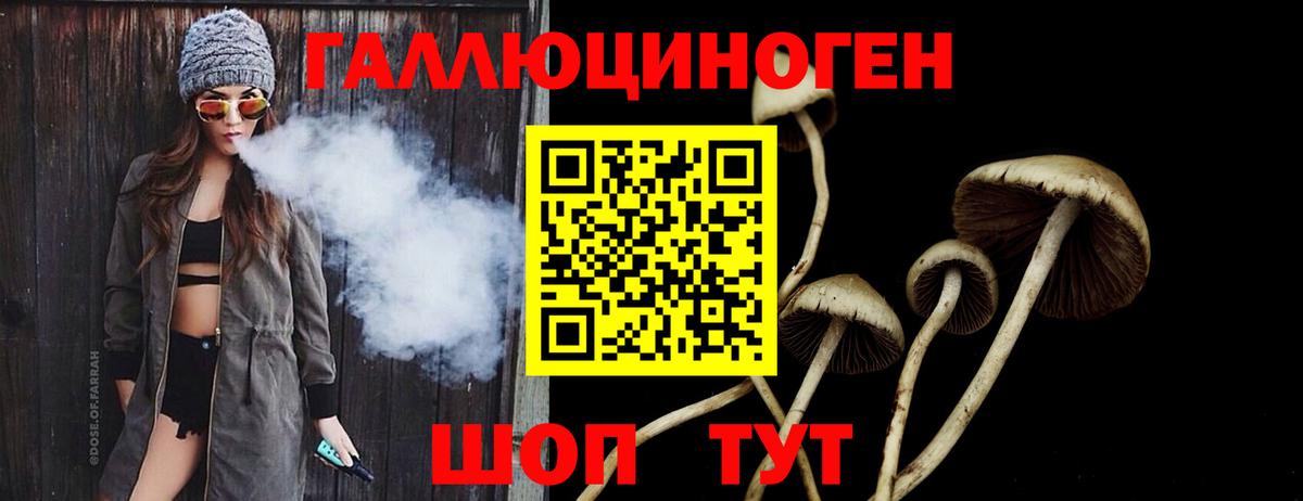 Саяногорск  Псилоцибиновые грибы Magic Shrooms  закладки  Вход с VPN 